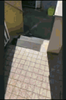 a shadow of a person is cast on a cobblestone floor
