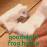 a frog is sitting on a piece of paper with the words goodnight frog house below it