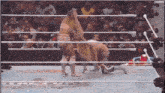 two wrestlers are wrestling in a ring with a crowd in the background .