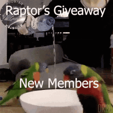 Raptor Raptoria GIF - Raptor Raptoria Members GIFs