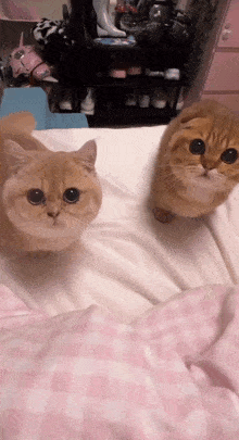 two cats are sitting on a bed and one has a red eye