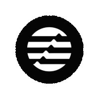 a black circle with a white circle in the middle of it