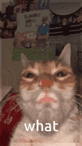 Cat Cat Meme GIF - Cat Cat Meme Giga Cat GIFs