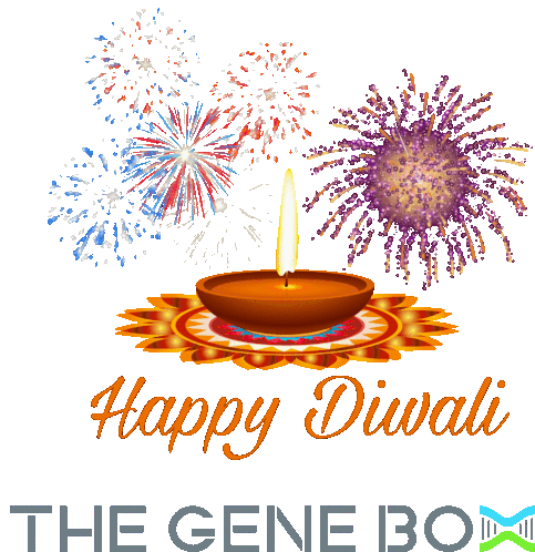 The Gene Box Diwali Sticker - The Gene Box Diwali Happy Diwali Stickers