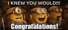 a group of minions are standing next to each other and saying `` i knew you would ! ''