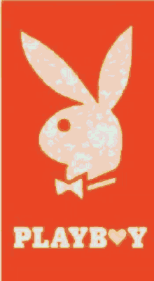 Boy Rabbit GIF - Boy Rabbit Bunny GIFs