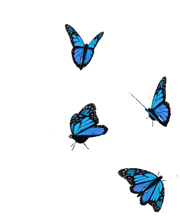 Butterfly Blue Sticker - Butterfly Blue Transparent - Discover & Share GIFs