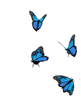 Butterfly Blue Sticker - Butterfly Blue Transparent Stickers