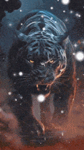 a picture of a tiger with the words assalamualaikum written on it
