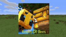 Realm Of Bees The Warped Realm GIF
