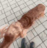 a brown dog is laying on a brick sidewalk next to a person 's feet .