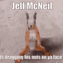 Mcneil Meekphill GIF - Mcneil Meekphill Jeff GIFs
