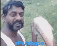 Pandago Pandagoo GIF - Pandago Pandagoo Pandagowww GIFs