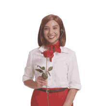 rose valentine valentines day aami aami insurance