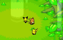 Pokemon Pichu GIF - Pokemon Pichu Pikachu GIFs