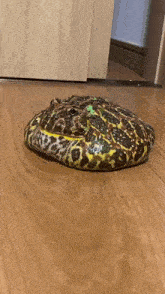 a frog is laying on a wooden floor in front of a door .