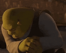 Shrek Rizz GIF - Shrek Rizz Homo Erectus GIFs