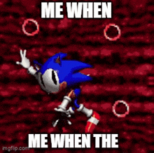 a picture of sonic the hedgehog with the words me when me when the on it .