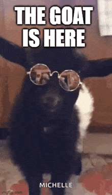 a goat wearing sunglasses is standing in front of a sign that says the goat is here .