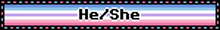 a sign that says he / she on a blue and pink background