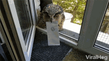 Mail Delivery Owl GIF - Mail Delivery Owl Cute Animals GIFs