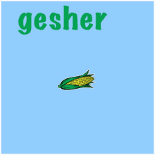 Gesher Corn GIF - Gesher Corn Gesher Means Corn GIFs