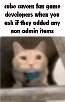 a cube cavern fan game developer when you ask if they added any non admin items is shown