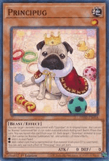 a pug wearing a crown and a cape is sitting on a card .