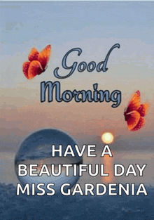 Good Morning GIF