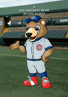 a chicago cubs mascot on a baseball field with a caption that says " a gay friendly bear in chicago "
