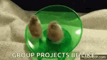 Group Projects Not GIF - Group Projects Not Helping GIFs