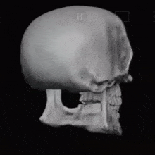 Skull Monkiskull GIF - Skull Monkiskull GIFs