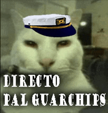 Warshipscat Wows GIF