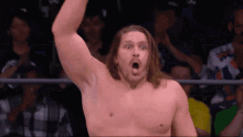 a man without a shirt is standing in front of a crowd with his arm in the air .