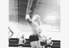 a group of women are dancing in a gym .