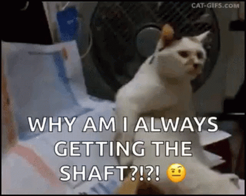 untitled.gif