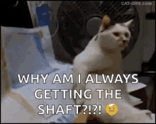 shaft screwed why am i always getting the shaft always getting fired cat