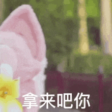 a close up of a person 's face with chinese characters