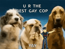 a group of dogs standing next to a police officer that says ur the best gay cop