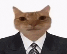 a cat wearing a suit and tie with a human face .