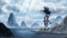a cartoon of goku standing on a rock overlooking the ocean