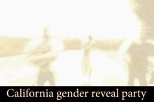 Gender Reveal GIF - Gender Reveal GIFs