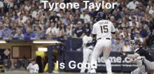 Tyrone Taylor Brewers GIF - Tyrone Taylor Brewers Mikwaukee GIFs