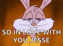 haha in love crush bunny