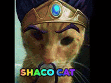 Shaco Cat GIF - Shaco Cat GIFs