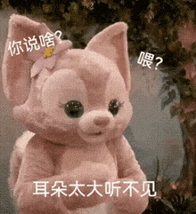 a stuffed animal with chinese characters on it