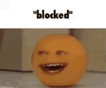 Blocked Blocked Annoying Orange GIF