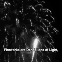 Flowers Fireworks GIF