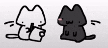 a black cat and a white cat are sitting next to each other .