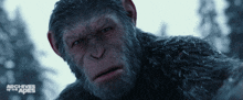 Planet Of The Apes Caesar GIF - Planet Of The Apes Caesar GIFs